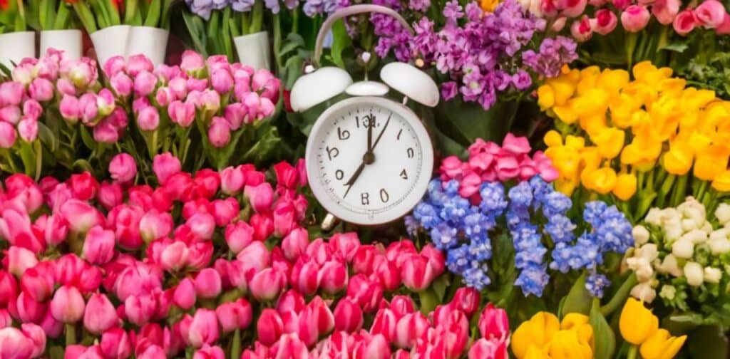 Floryvulyura 24H: Beautiful Flowers All Around the Clock